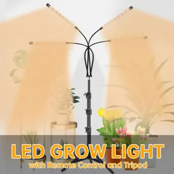 Светодиодный Светильник Для Выращивания растений USB LED Лампы Для Выращивания растений Полного Спектра Фито Лампа Для Выращивания Овощей И Цветов В помещении, Домашняя Палатка