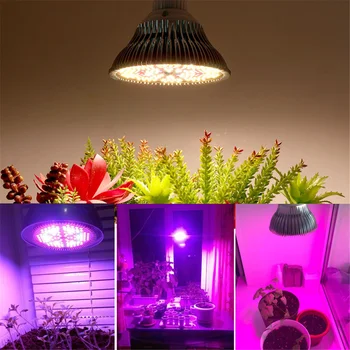 Par38 Grow Light 200 LED Sunshine 300W Полный Спектр Выращивания Комнатных растений Лампа для Выращивания Овощей в Теплице 85-265 В E27 Лампа для Растений