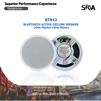 1 + 1 8-дюймовые 20 Вт Беспроводные Колонки Bluetooth для Домашнего Потолка Влагостойкий Музыкальный Громкоговоритель на Крыше Аудиосистема